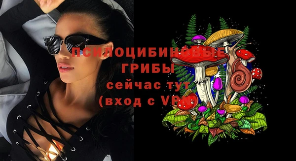 ECSTASY Балабаново