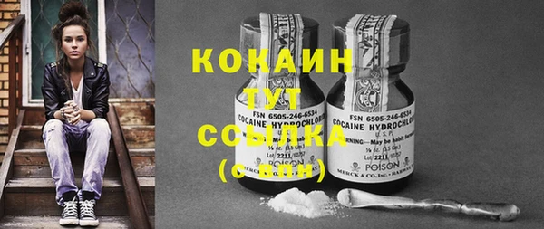 сатива Балахна