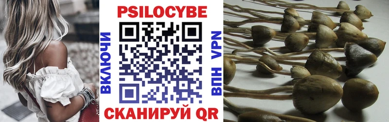 Галлюциногенные грибы мицелий  Козловка 